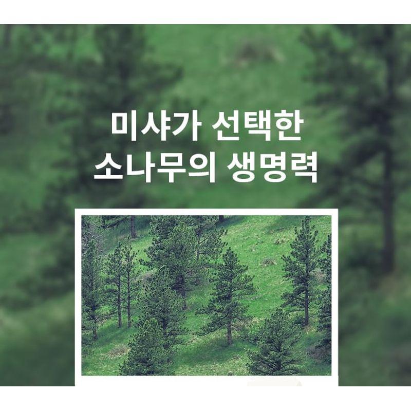 MISSHA Layering Fit Pine Phyto Mucin Serum Cushion - 2 Colors