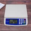 LCD Display Kitchen Digital Scale 30kg/1g Capacity Electronic Pricing Scale  Coins Counting