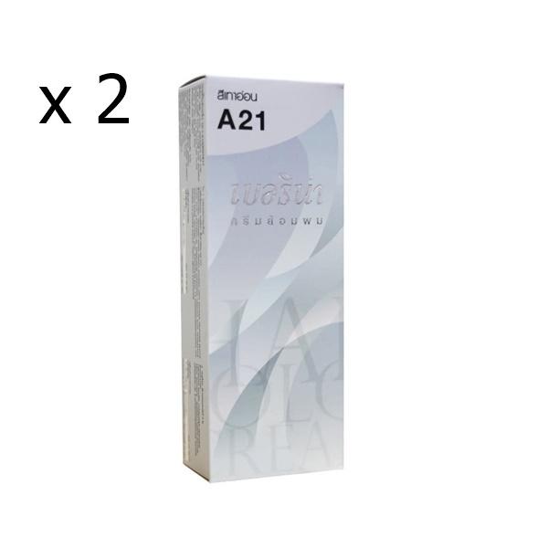 Berina A21 Grey Silver HAIR DYE COLOUR Cream