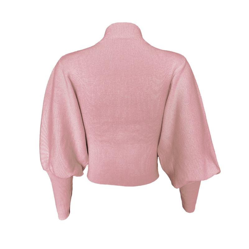 Autumn and Winter Women's Net Color Knitted Lantern Sleeve Long Sleeve Pullover Turtleneck Wool Sweater