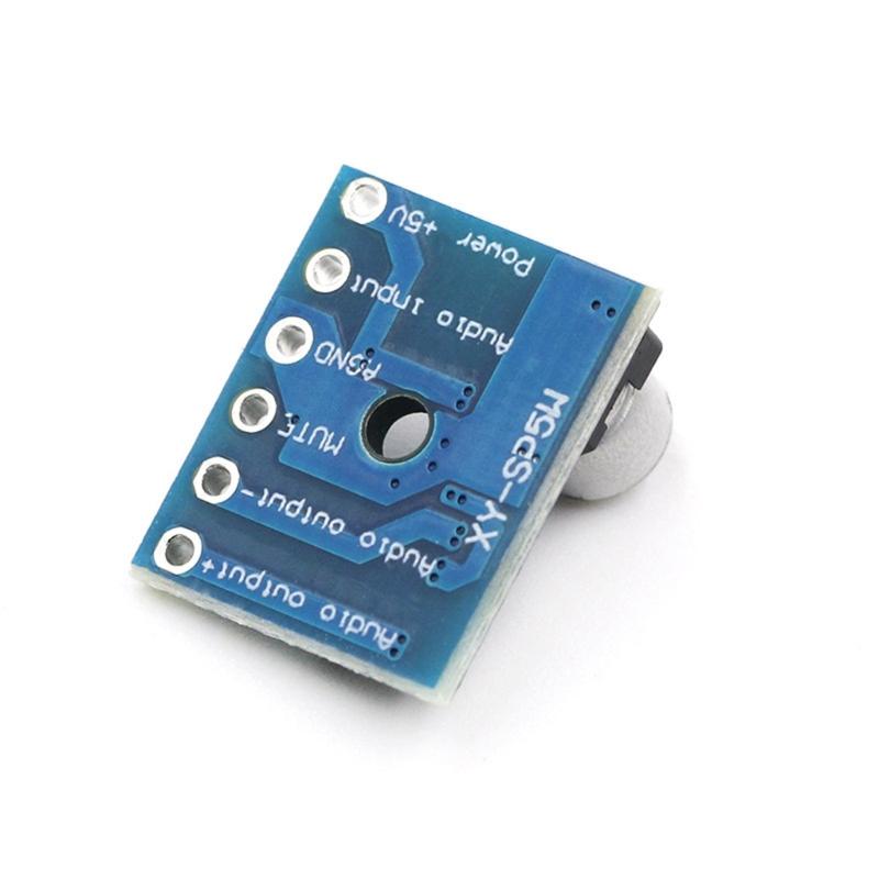 Single Channel 5W Amplifier Board With Overloads Protections Compactly Size Easy Installation For Home Car Use
