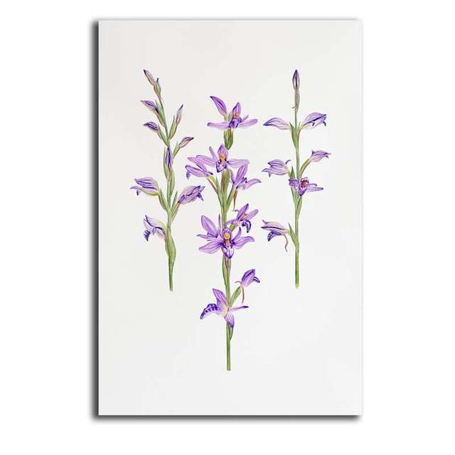 

Декор кухни Акварельная настенная живопись Печать на холсте Постер Настенный декор Картины Домашний декор Скандинавские минималистские картины Без рамки 21*30cm No Frame