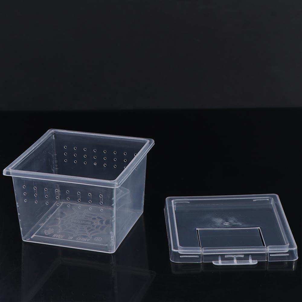 Für Scorpion Spinnen Ameisen Haushalt Plastik Transparent Eidechse Lebende Box Insekten Fütterungsbox Aufzuchtbecken Reptilien Lebensraum