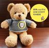 New-style Multi-functional Recording Teddy Plush Toy Retro Sweater Design China-made Couples Teddy Bear