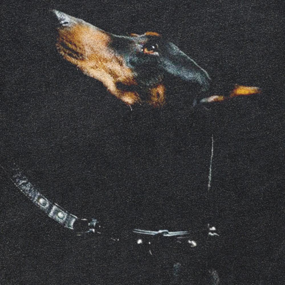 Streetwear Dobermann Grafik Unisex T-Shirt Baumwolle gewaschen schwarz T-Shirt Unisex Tops Tees Sommer kurze Ärmel T-Shirt