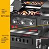 Beifu Multifunctional Gas & Charcoal BBQ Grill Smoker