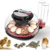 Animale de fermă
– Incubatoare de ouă și accesorii