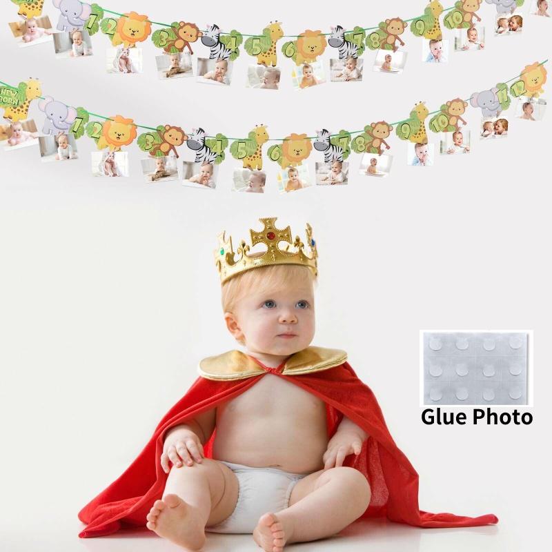 Huipai Brand 12-month Animal Birthday Banner Premium Quality Paper Material For Party Decor