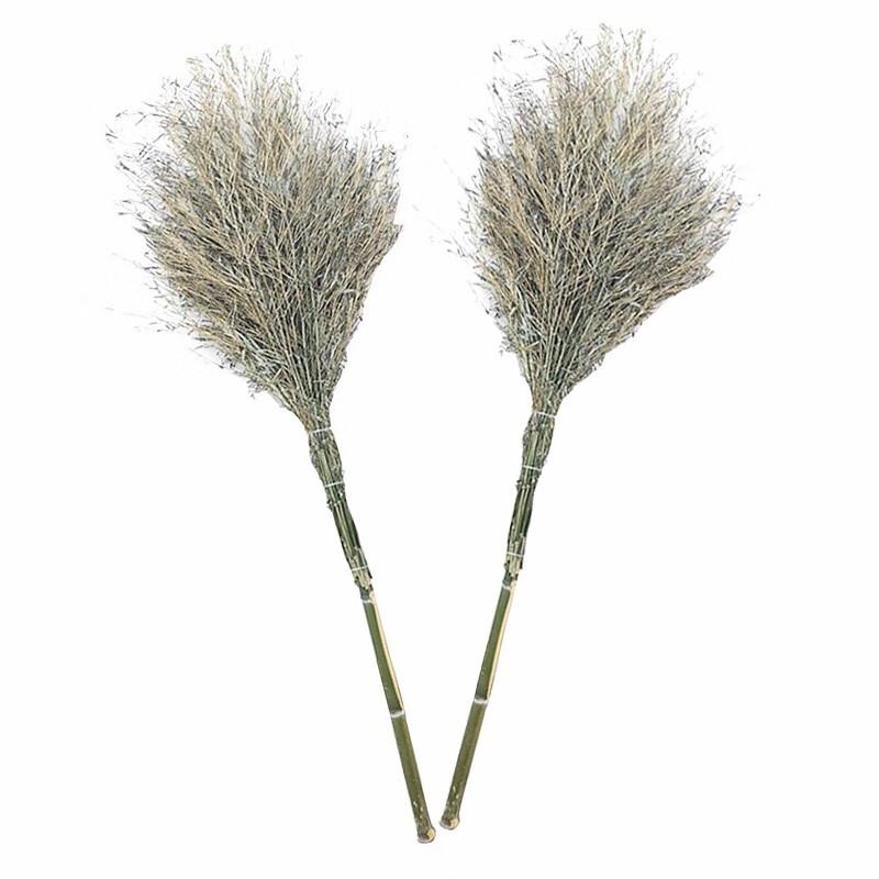 Juyuan Heavy-Duty Outdoor Broom