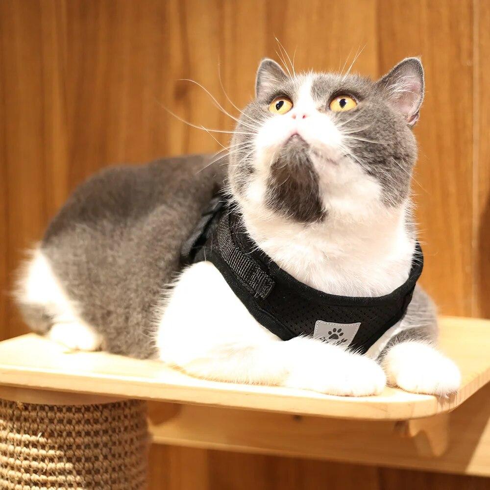 Reflective Breathable Mesh Vest Harness Set Adjustable Detachable Collar Chest Leash Traction Rope Pet Shop All for Dogs Chats