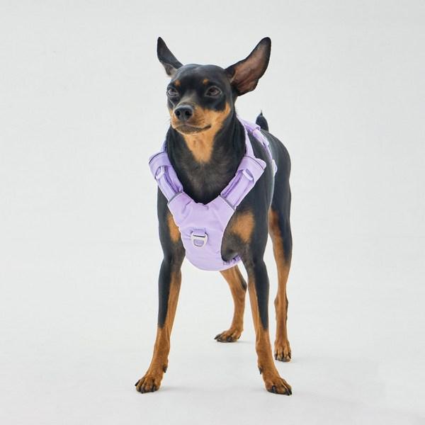 Far Puppy No-Webbing Harness, Monte Lavender