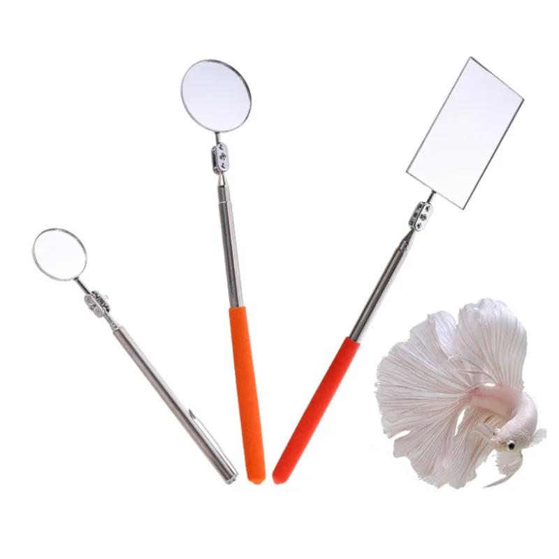 Scalable Stainless Steel Aquarium Betta Mirror Fish Tank Round Mirror for Fish Betta Flowerhorn Cichlid Training 3cm 5cm