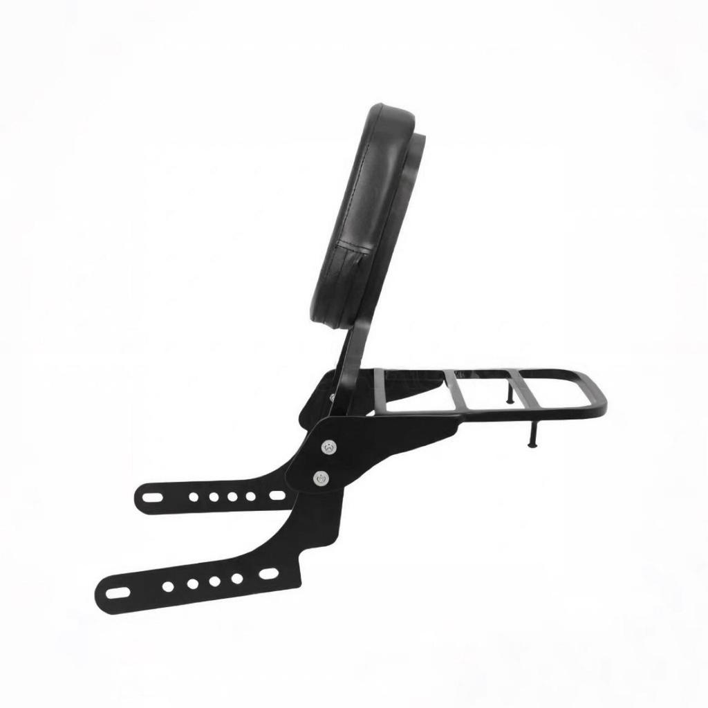Harley Nightster 975 Backrest & Tail Rack Storage Solution