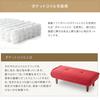 Celtan Ottoman Stool with Waraku no Pocket Darian High Japanese-made Footrest, Kiwami, 2-Seater, Coil, Green, Resilience, A280p-562GRN