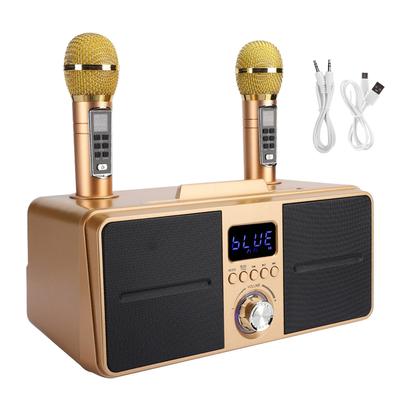 Hochwertiges Sound-Kit für die ganze Familie, KTV, integriertes kabelloses Mikrofon, Live-Audiokarte, Bluetooth-Karaoke