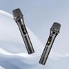 W-King K30 Outdoor Portable Trolley Bluetooth Speaker with Dual Microphones CN plug (adapter included)