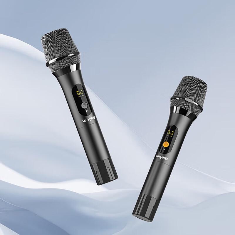 W-King K30 Outdoor Portable Trolley Bluetooth Speaker with Dual Microphones CN plug (adapter included)