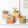 Cartoon Animals Flower Pot Garden Office Decoration Succulent Mini Flowerpot Cute Handbag Design Flowerpot Cactus Plants Planter