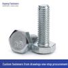 Grade 4.8 Galvanized Hex Head Bolts & Screws Set with Full & Half Thread and Nuts