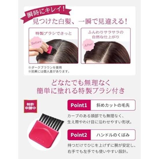 2 pieces Priore Hair Foundation Dark Brown Gray 3.6g x ( )