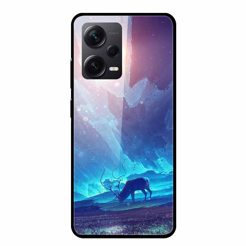 Tempered Glass Cases For Redmi Note 12 Pro Plus 5G Covers Note12 Hard Back Covers for Xiaomi Redmi Note 12 Pro Capas Protective