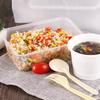 Edo Disposable Transparent Takeaway Food Containers