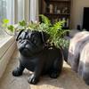 Funny Pug Shaped Planter Pot Plastic Dog Succulent Planter  Indoor Outdoor