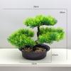 Plastics Changpai Scotch Pine Thuja Sutchuenensis Green Plant With Pot And Stone