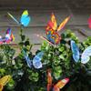 Glow-in-the-Dark Realistic Butterfly Stakes for Outdoor Garden Decor,Mixed Color,50 Pieces