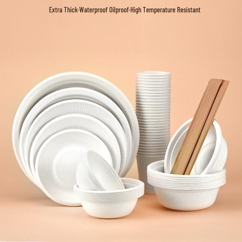 CIBO Disposable Bagasse Paper Plates