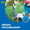 Schleich Dinosaur Brachiosaurus Figure 14581