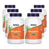 Now Foods Acanthopanax 500mg Veggie Capsules 250 Tablets 6 Pcs