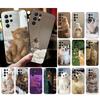 Phone Case For Samsung Galaxy S25 S24 S23 S22 S21 Ultra S24 S23 S22 S21 S25 Plus S24 S25 FE Cute Cat