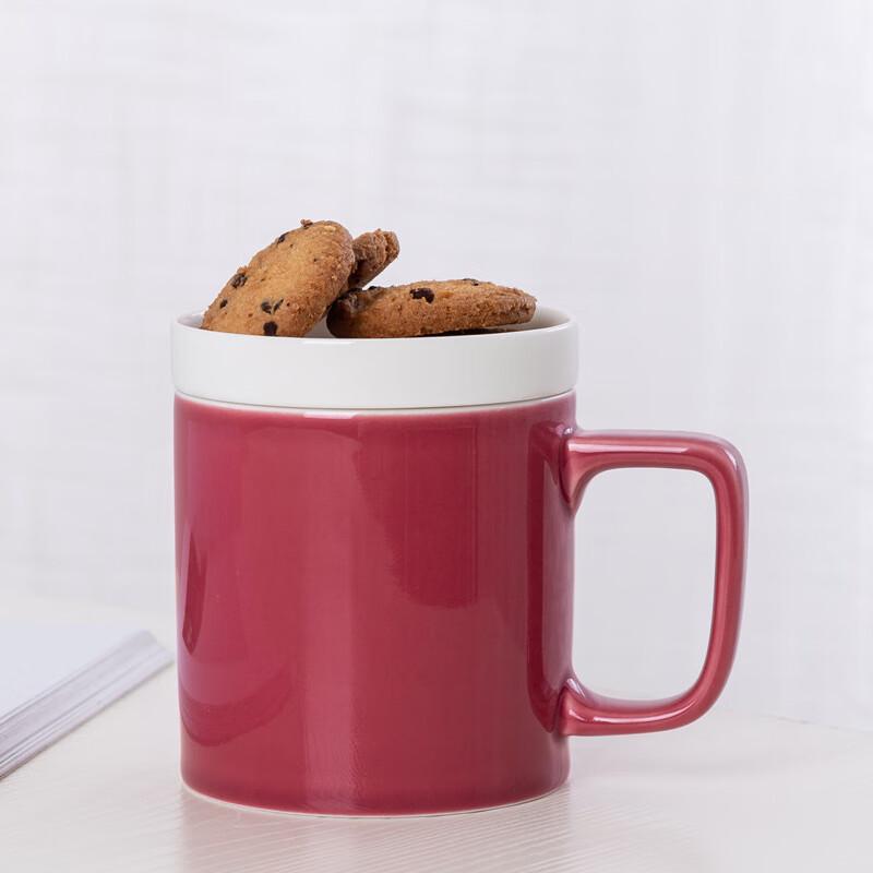 Duoli Ceramic Tea Mug with Lid