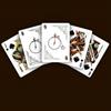 Orange Bicycle Aviary Playing Cards Deck Poker Size Card Games Magic Tricks