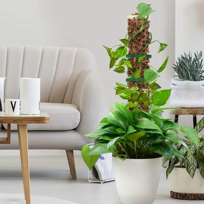 Bahçe ve Çevre Düzenlemesi – Bitki desteği