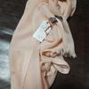 Used Loro Piana Cashmere/Silk Scarf