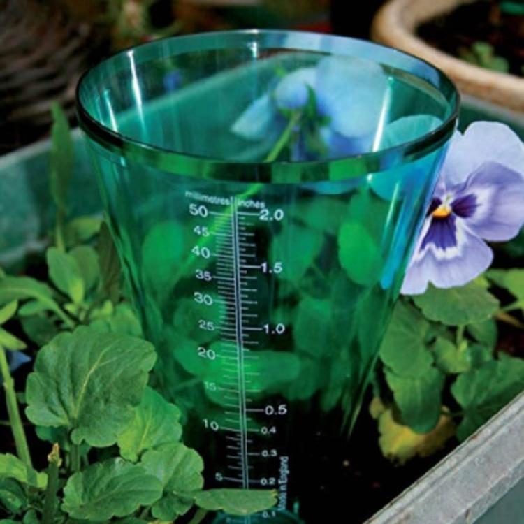 Clear Plastic Cone Rain Gauge Innovative Starter Gardening Plant Growing