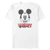 The 2026 Summer New Poster Vacation Mickey Patterned Tshirt Is A Loose Casual Tshirt for Adults and Children with An Oneck