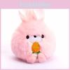 Милий пухнастий кіт кролик плюшева іграшка зняття стресу хом'як єнот лілі кіт кулон лялька оптом жіночий