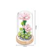 Exhibition Booth Brick Micro Diamond Block Flower Carnation Feverfew Lotus Kapok Jasmine Morning Glory Nanobrick Toys For Girls