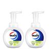 Walch Antibacterial Foaming Hand Soap Set