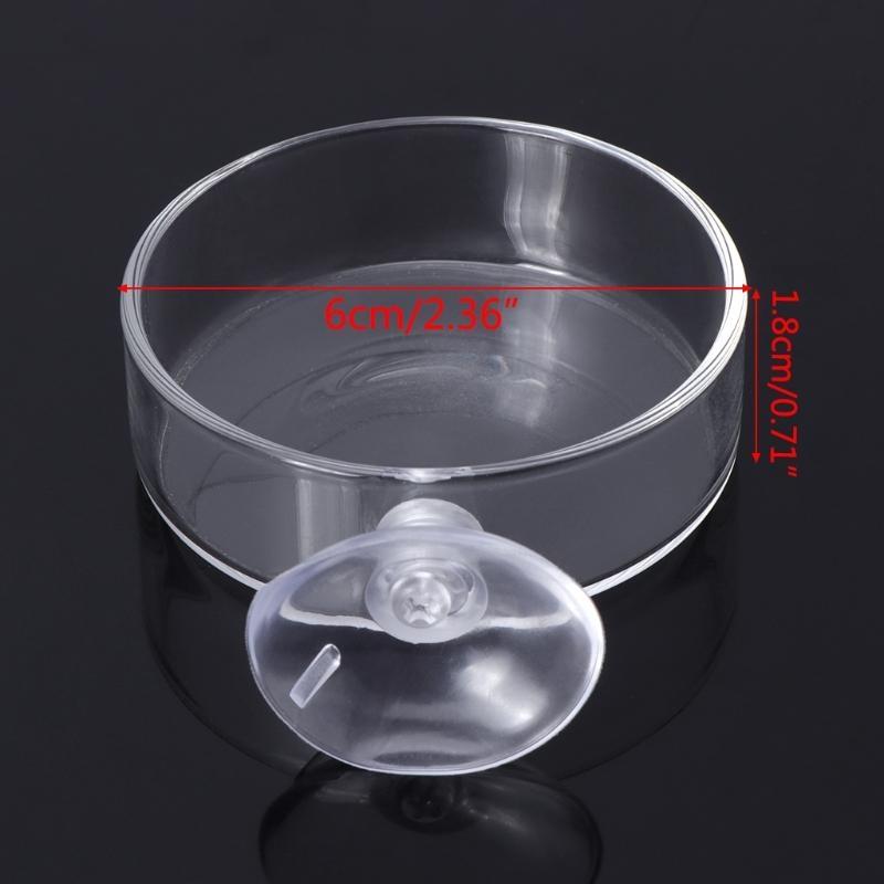  Shrimp Feeding Dish with Sucker Glass Bowls Round Tray Aquarium Fish Feeder