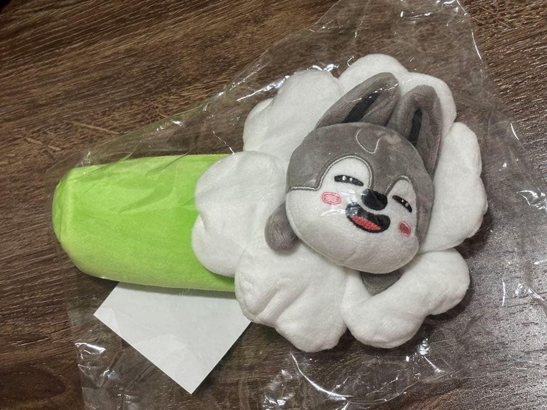 

[USED] stray kids Wolf Chan pencil case