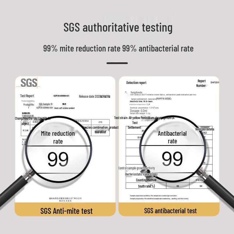 Red Bean New Generation Latex Mattress