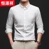 Hengyuanxiang Men's Striped Long-Sleeve Lapel Shirt BL7701