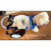 Used Wheelchair Walker for Small Dogs Aluminum Frame Maltese Shih Tzu Size