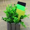 100pcs T-shaped Decorative Plant Labels Plastic T-type Nursery Pots Garden Decoration Seedling Mark Tags