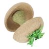 Apple Core Hamster Bowl Timothy Grass Straw Rope Natural Funny Hamster Chewing Toy for Dwarf