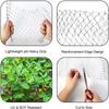 Thick Bird Exclusion Net Plant Orchards Fruit Protecting Meshes Reusables Garden Bird Net Protects Fruits Vegetables